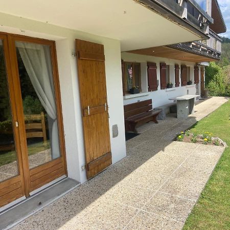 Appartement De Montagne Au Chalet De Snow Xonrupt-Longemer Kültér fotó