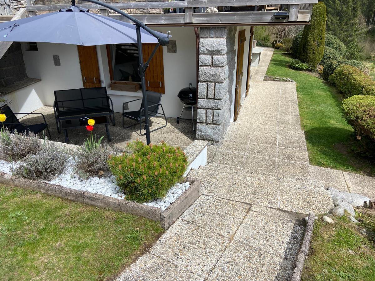 Appartement De Montagne Au Chalet De Snow Xonrupt-Longemer Kültér fotó