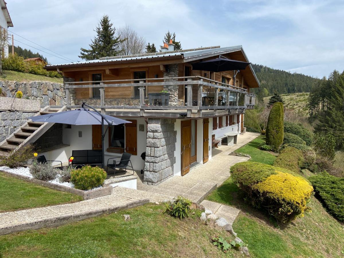 Appartement De Montagne Au Chalet De Snow Xonrupt-Longemer Kültér fotó